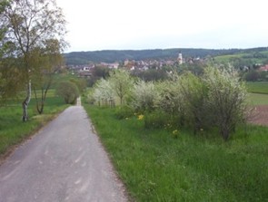 Blick auf Kohlberg im Frühjahr